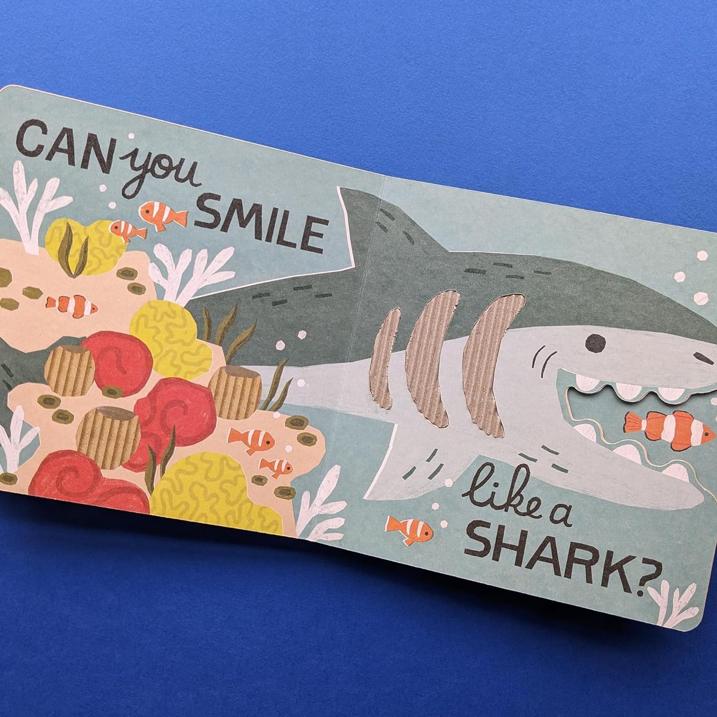 My First Eco Touch and Feel Book: Can You Creep Like a Crab? image 2