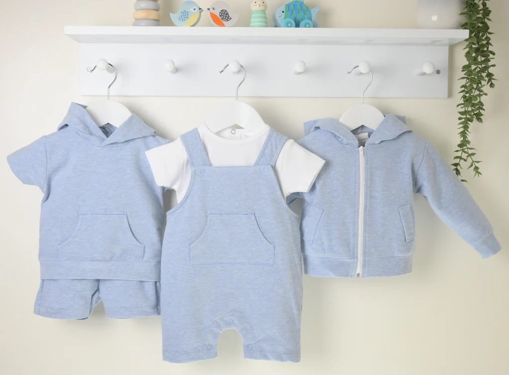 Ezra Baby Boys Hoodie- Blue image 2