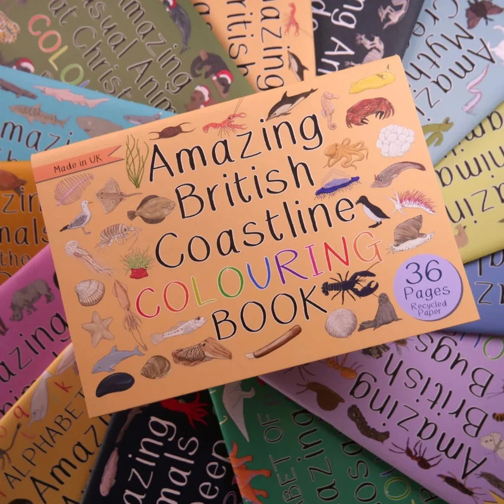Colorful 'Amazing British Coastline Colouring Book' on a background of other similar books.