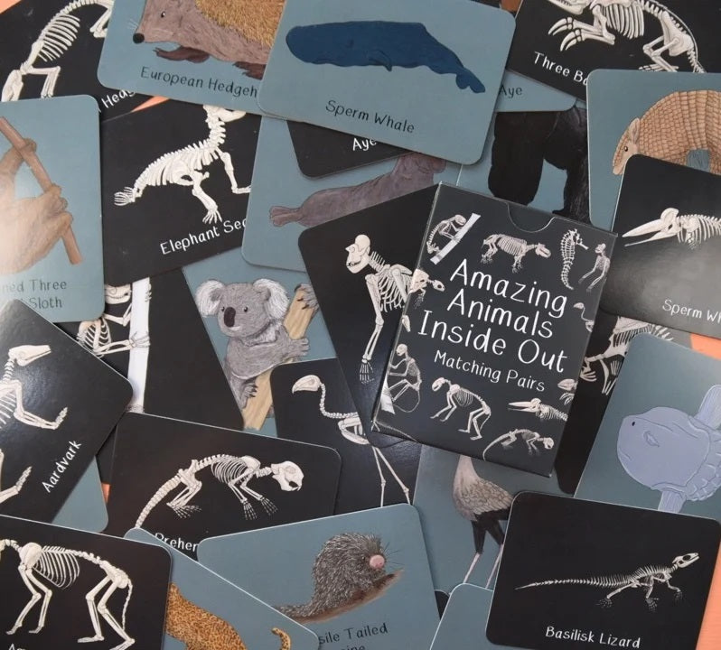 Collection of educational cards showing animal skeletons and parts on a black background.