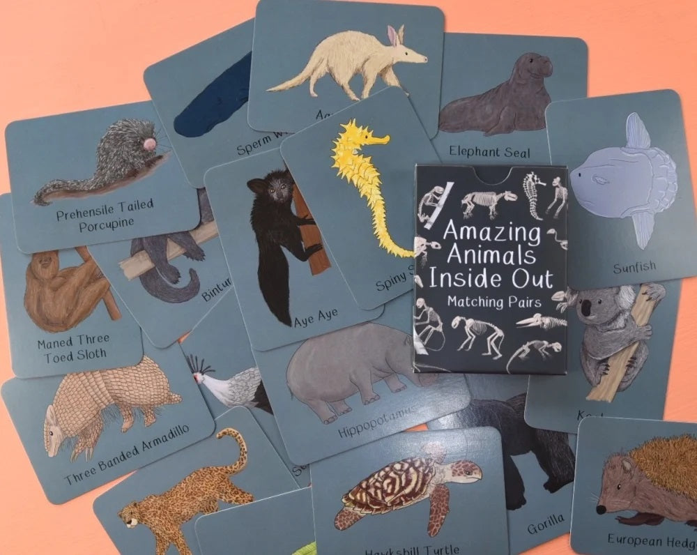 Collection of animal cards titled 'Amazing Animals Inside Out' on a pink background