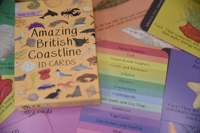 Collection of nature-themed cards with colorful designs and text on a surface.
