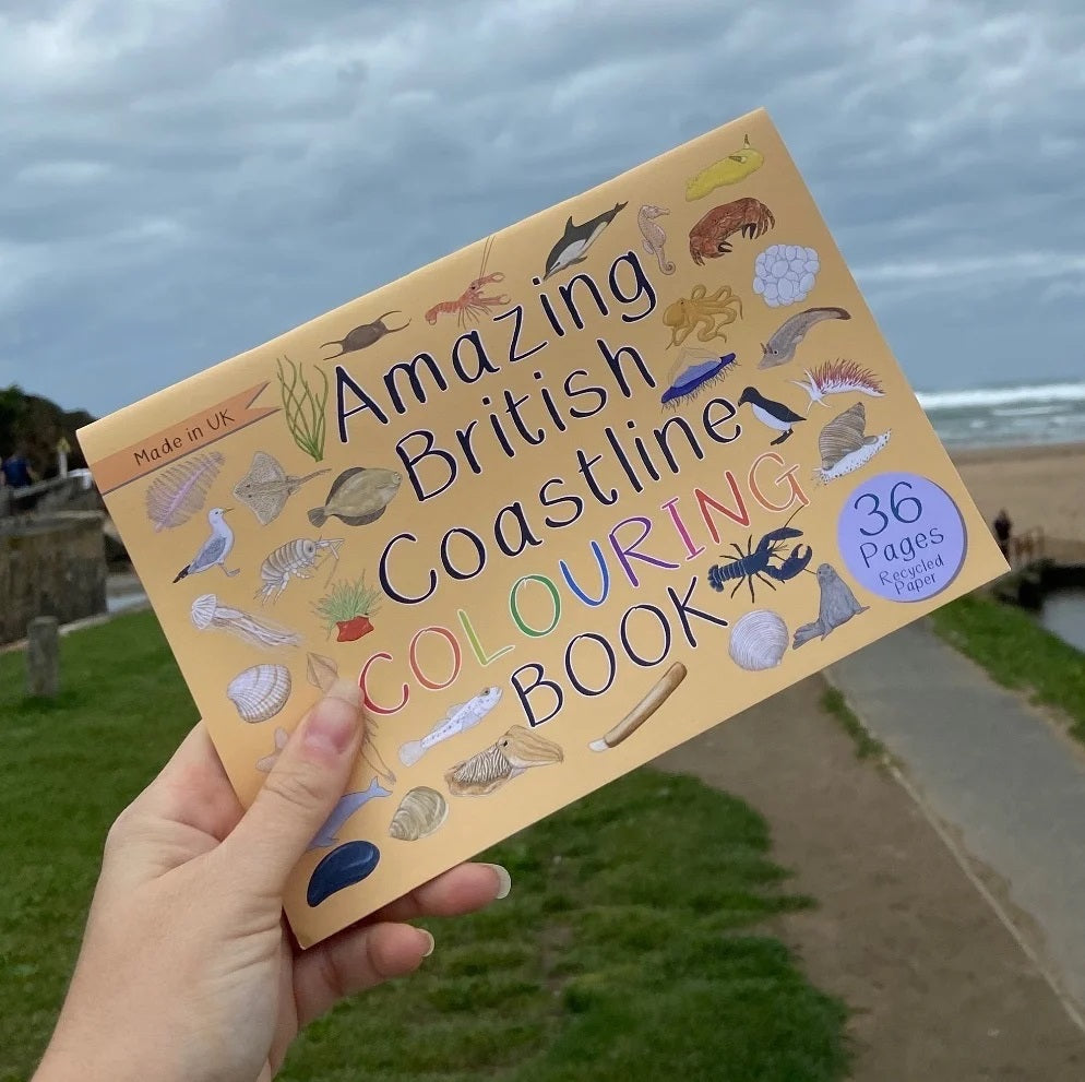 Hand holding 'Amazing British Coastlines Colouring Book' with coastal design on cover, outdoors.