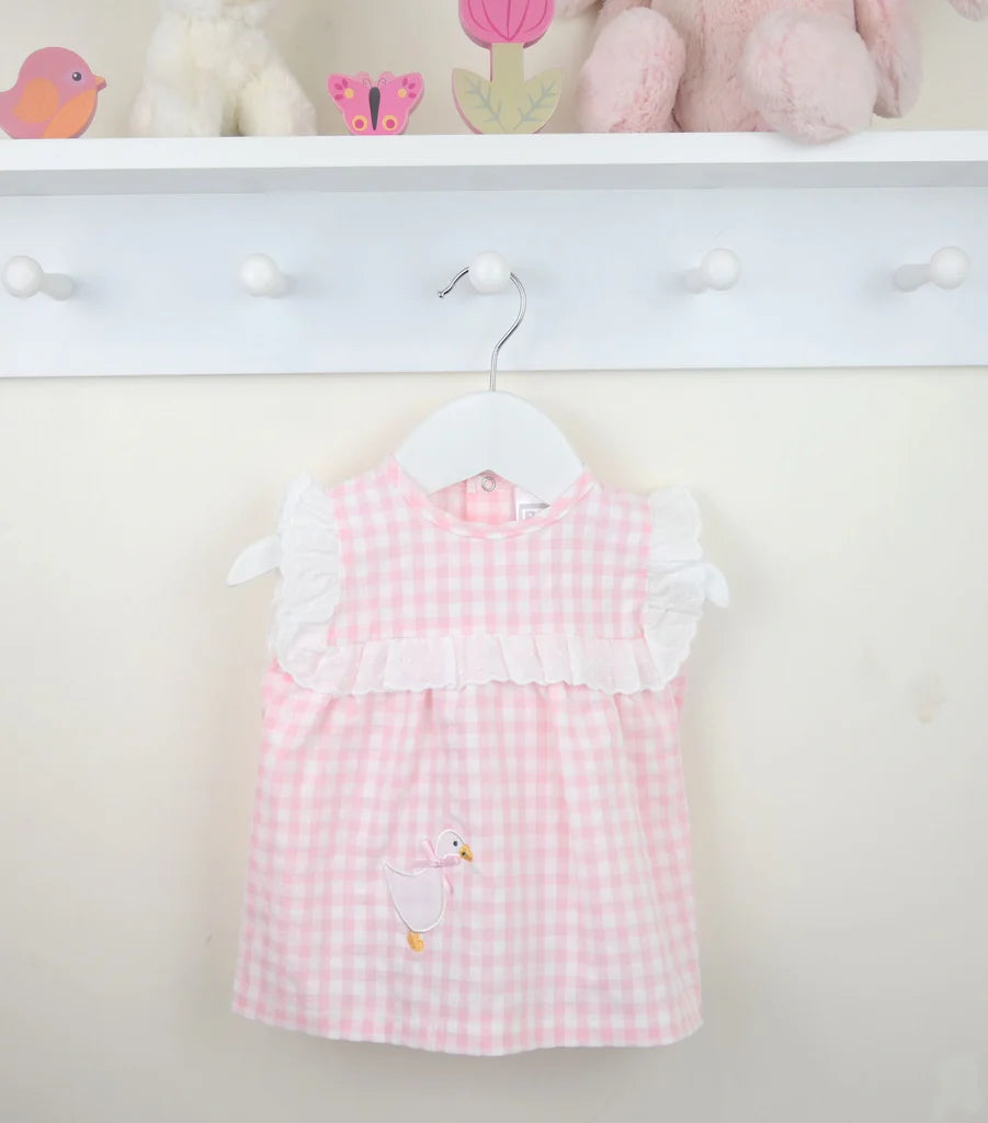 Pink checkered dress with duck design on a hanger against a white wall.