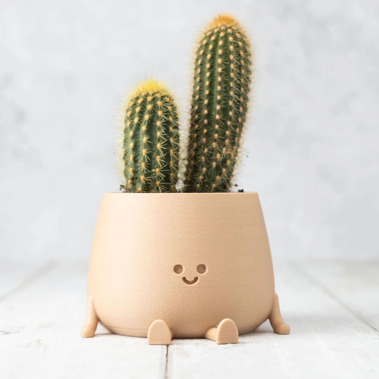 Modern 3D printed planter made from sustainable PLA
