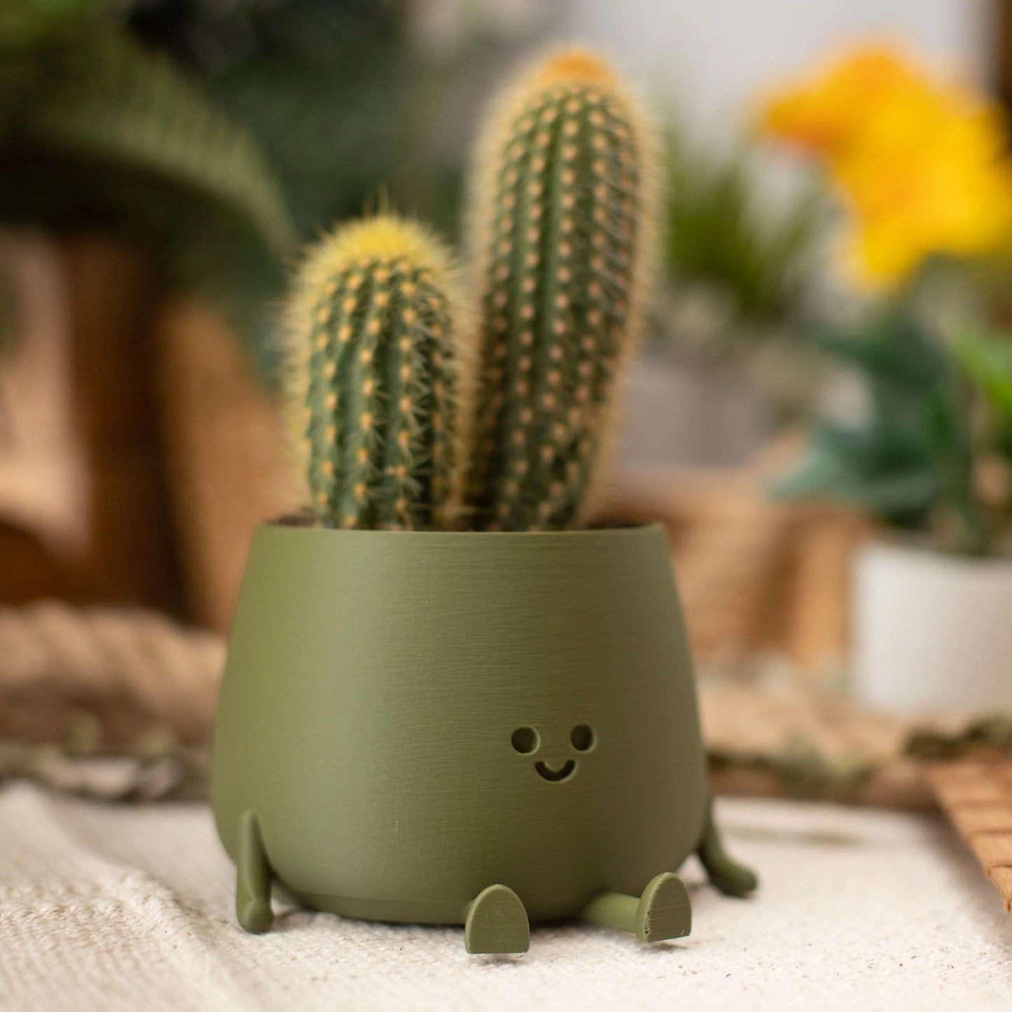 Smiley face planter matte green – Ingadi facepot design