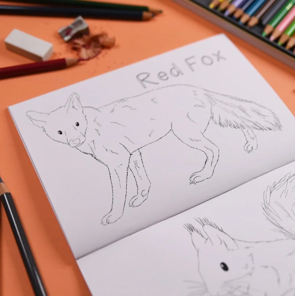 Drawing of a red fox on a piece of paper with art supplies on an orange surface