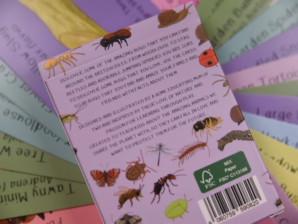 Back cover of card set with illustrations of insects on a colourful background