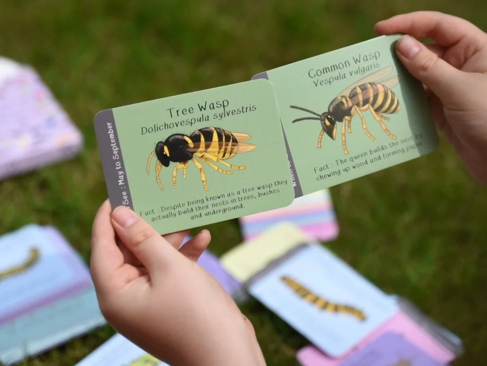 Two hands holding educational cards about tree wasp and common wasp with illustrations on a grassy background.
