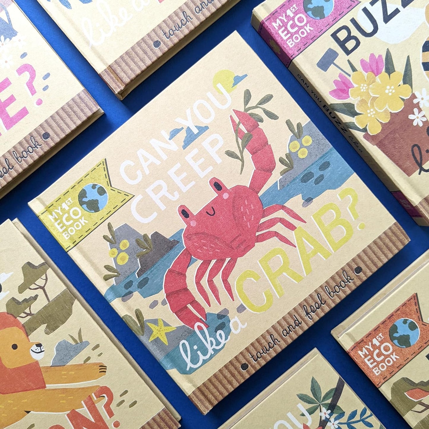 My First Eco Touch and Feel Book: Can You Creep Like a Crab? image 4