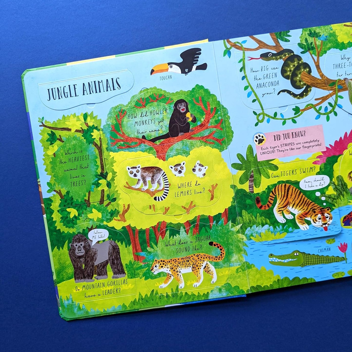 Large Question & Answer Animals Flap Book image 1