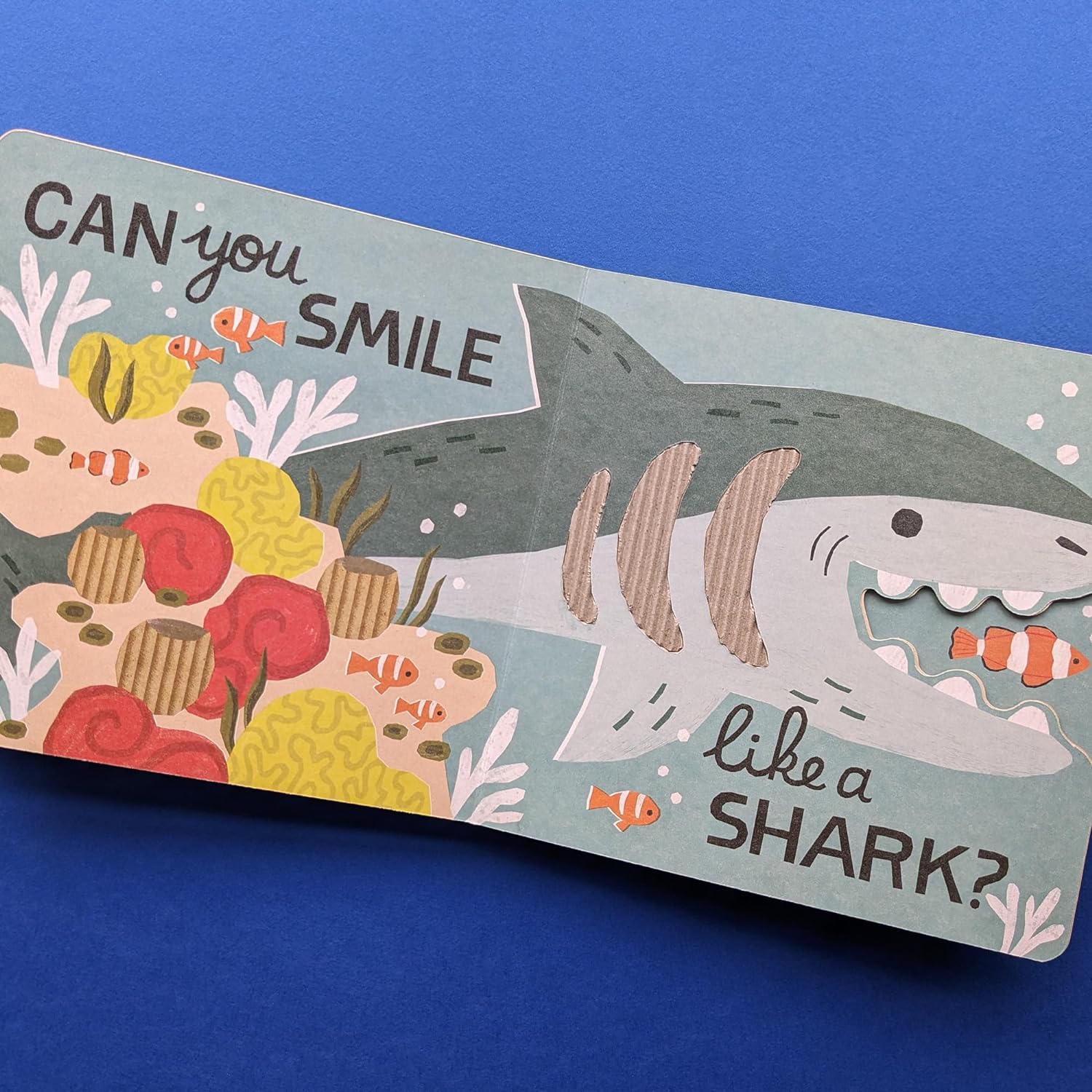 My First Eco Touch and Feel Book: Can You Creep Like a Crab? image 2