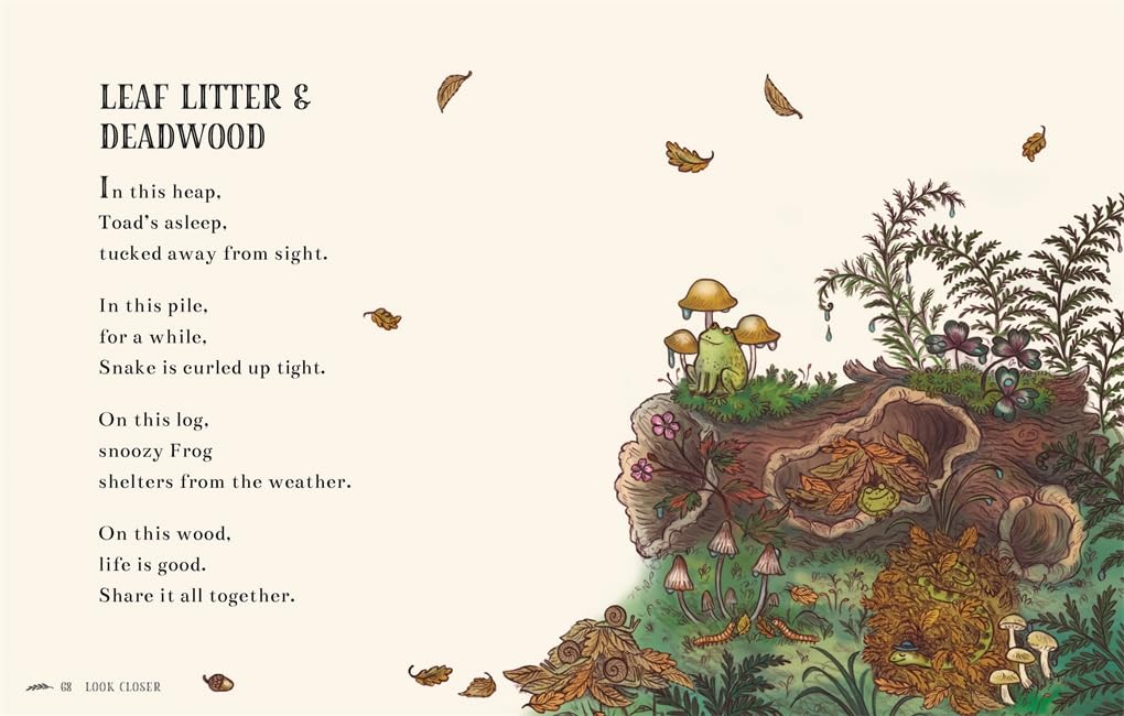 Wisdom of the Woods - 40 Poems to Treasure Hardback