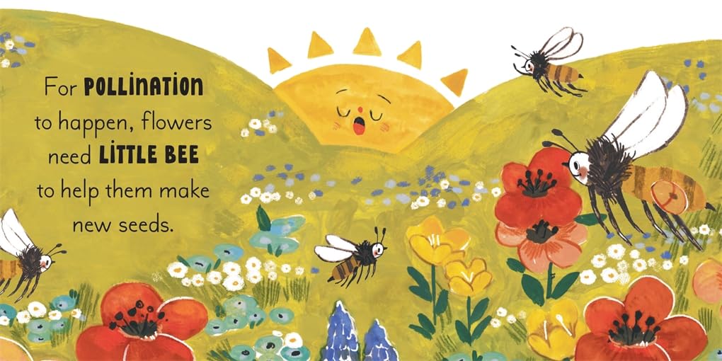 5 Minute Nature Story Box - First Science Concepts for Growing Minds! (Boxed Set - Board Book)