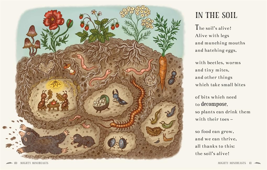 Wisdom of the Woods - 40 Poems to Treasure Hardback