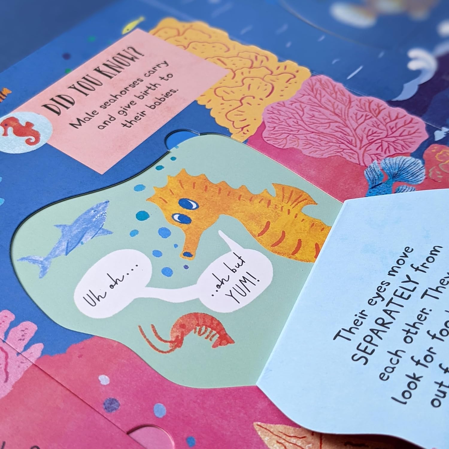 Large Question & Answer Animals Flap Book image 5