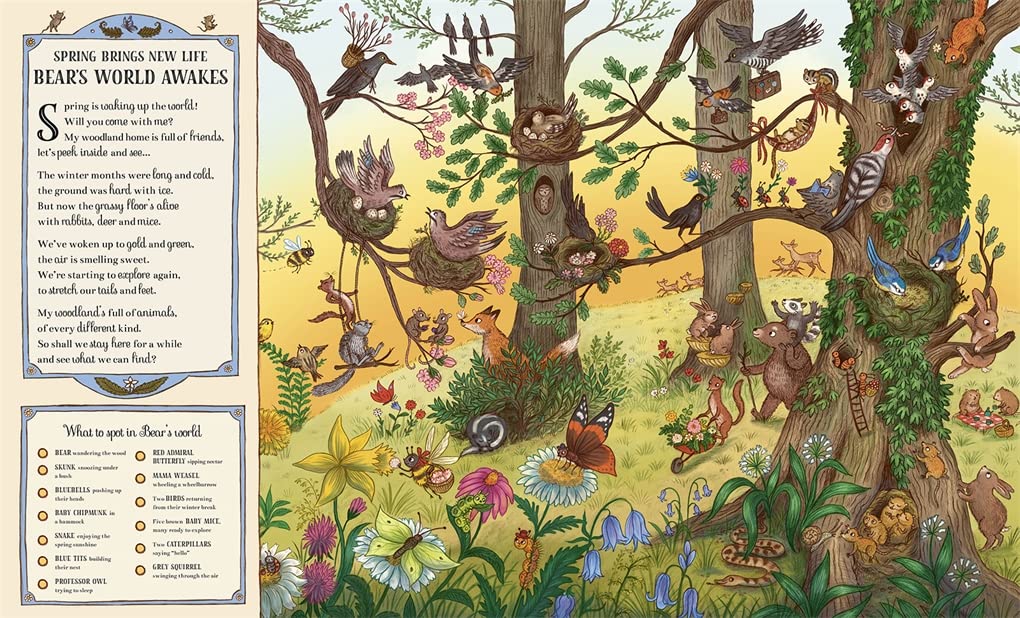 If You Go Down to the Woods Today - More than 100 Things to Find Hardback