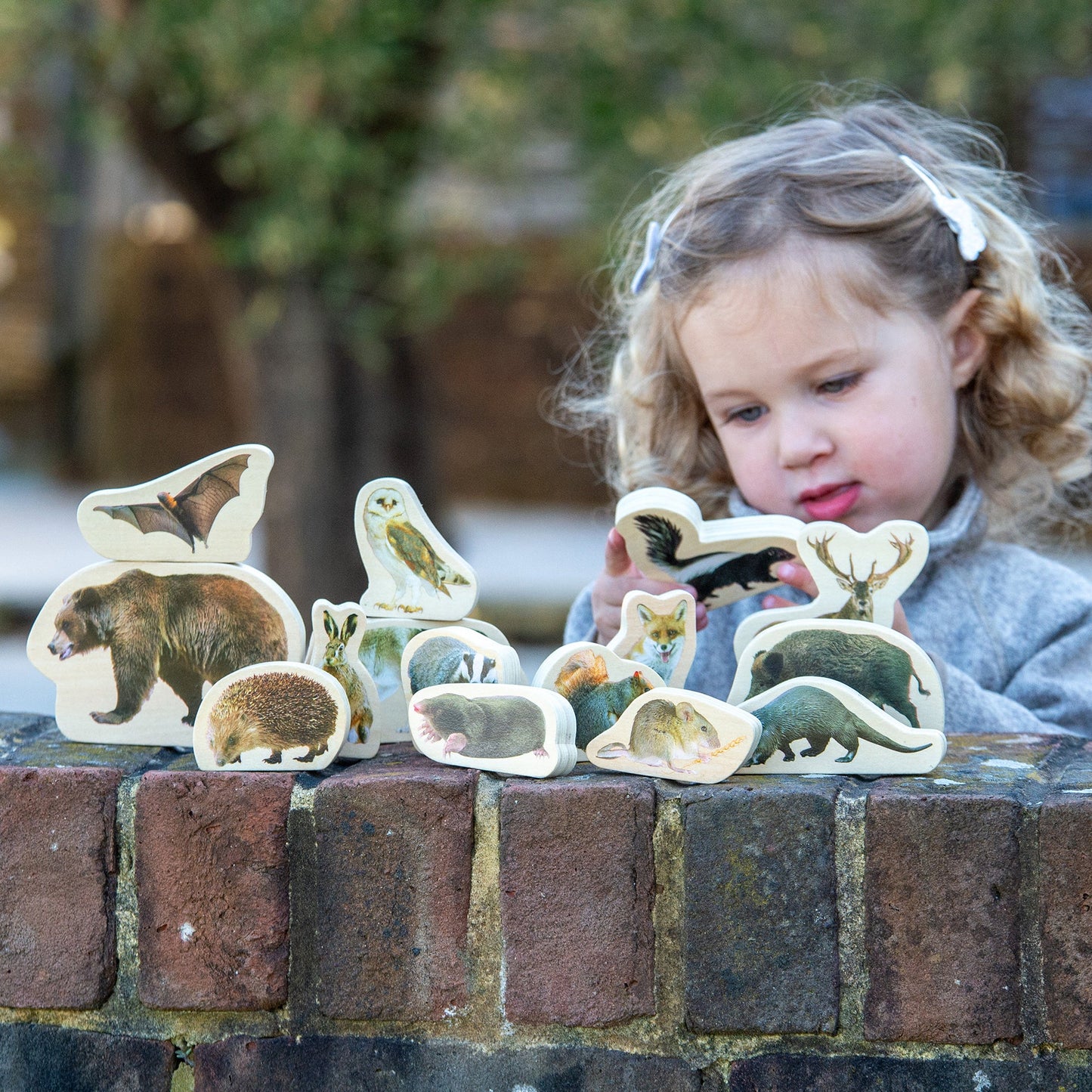 Wooden Forest Animal Blocks