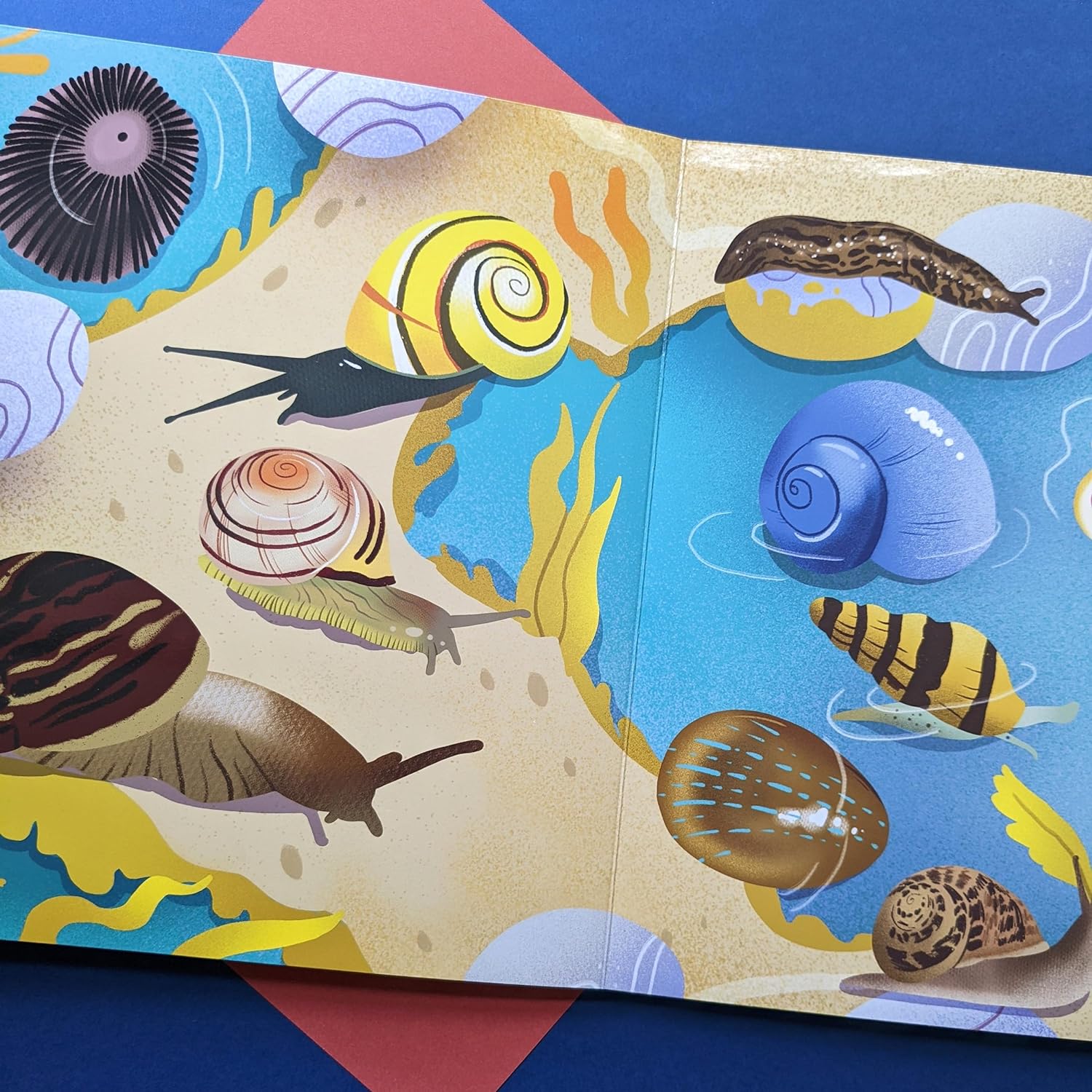 Nature Look & Find Board Book- Insects and Minibeasts image 2