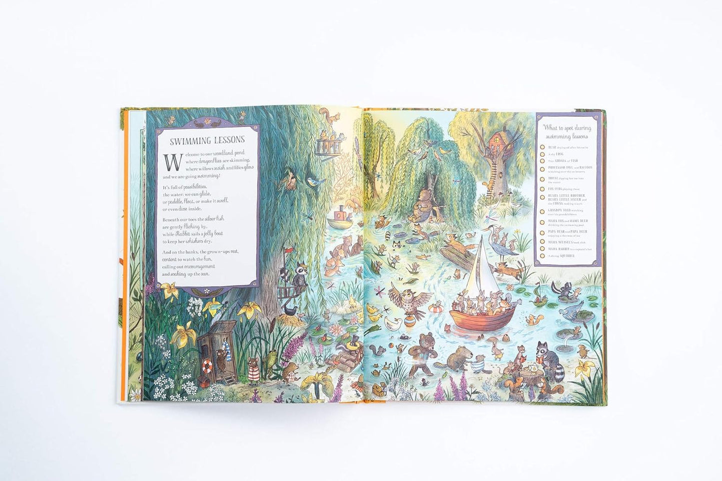 If You Go Down to the Woods Today - More than 100 Things to Find Hardback