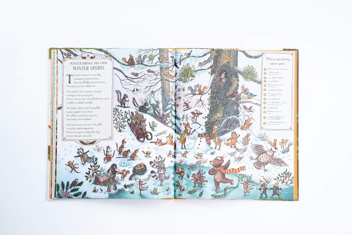 If You Go Down to the Woods Today - More than 100 Things to Find Hardback