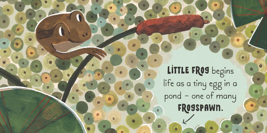 5 Minute Nature Story Box - First Science Concepts for Growing Minds! (Boxed Set - Board Book)