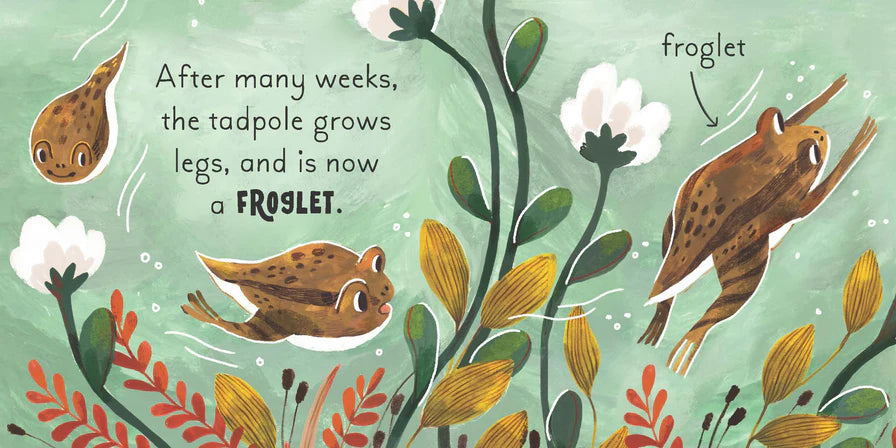 5 Minute Nature Story Box - First Science Concepts for Growing Minds! (Boxed Set - Board Book)