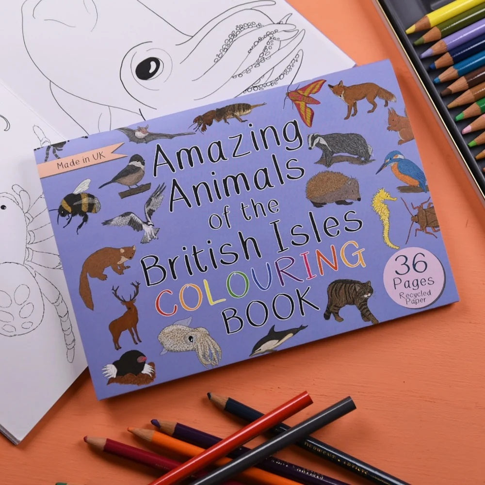 Coloring book titled 'Amazing Animals of the British Isles' with coloring pencils on a wooden surface