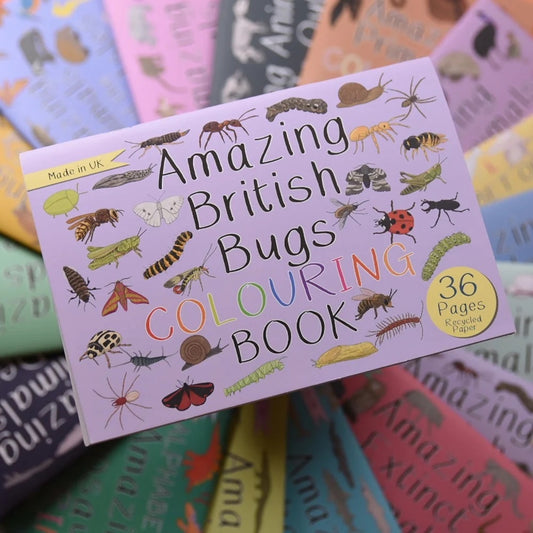 Colorful 'Amazing British Bugs Colouring Book' on a stack of similar books.