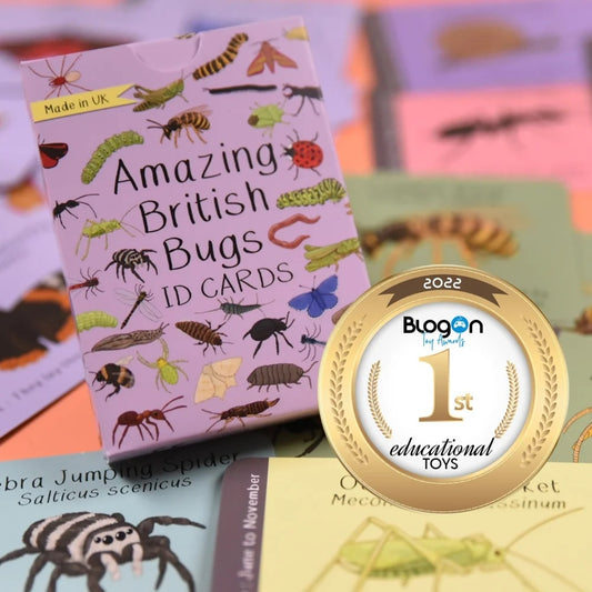 Box of 'Amazing British Bugs ID Cards' with a '1st educational toys' award badge.