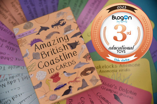 Amazing british coastline childrens flash cards multi coloured
