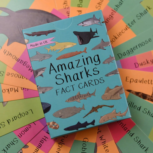 Pack of 'Amazing Sharks Fact Cards' with shark illustrations on a colorful background.
