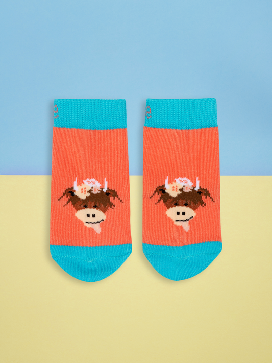 Pair of childrens socks with a highland cow design on a blue and yellow background