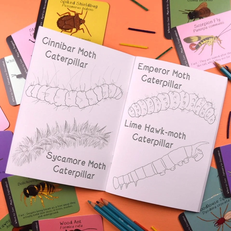 Coloring books with caterpillar illustrations on an orange surface with coloring pencils.