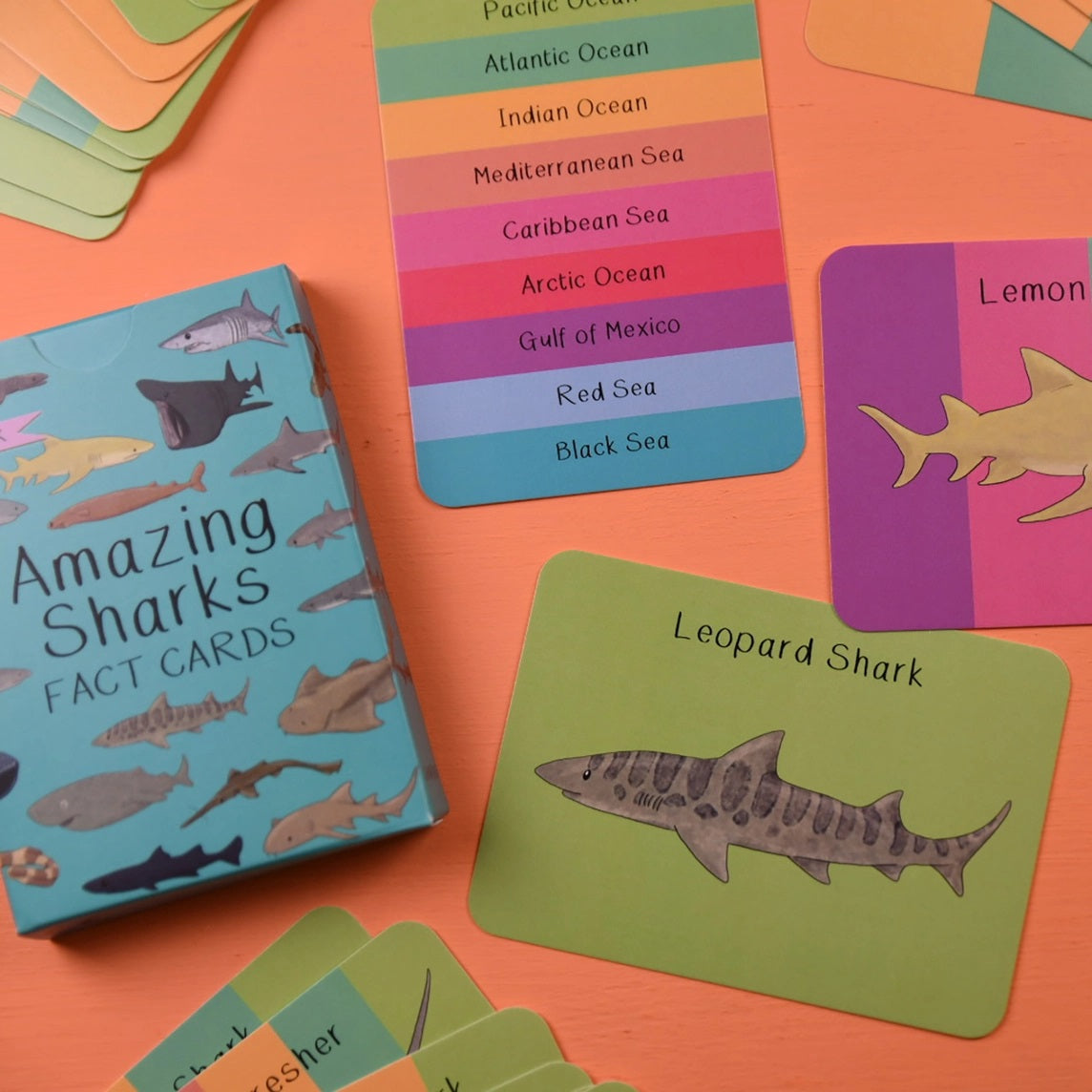 Educational card set with shark facts on an orange background