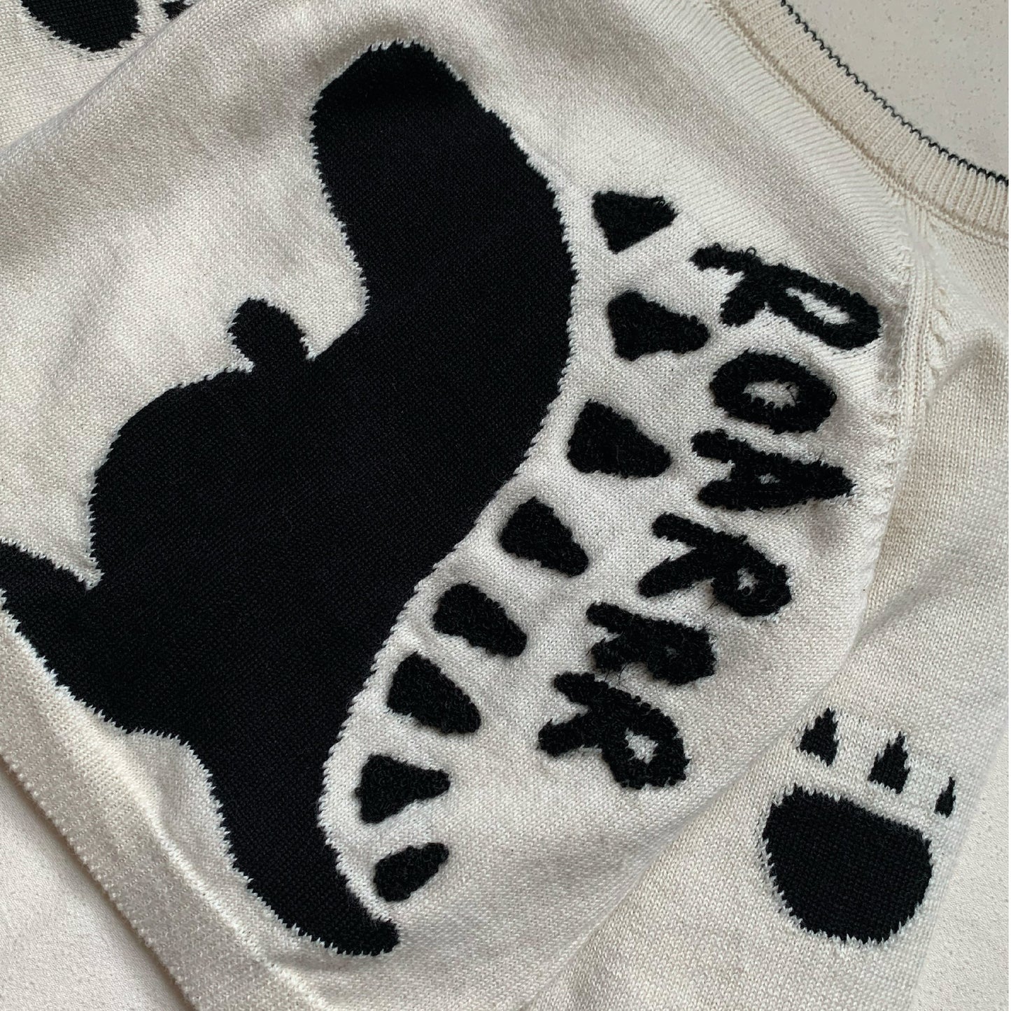 Fable and Bear Dino Jumper