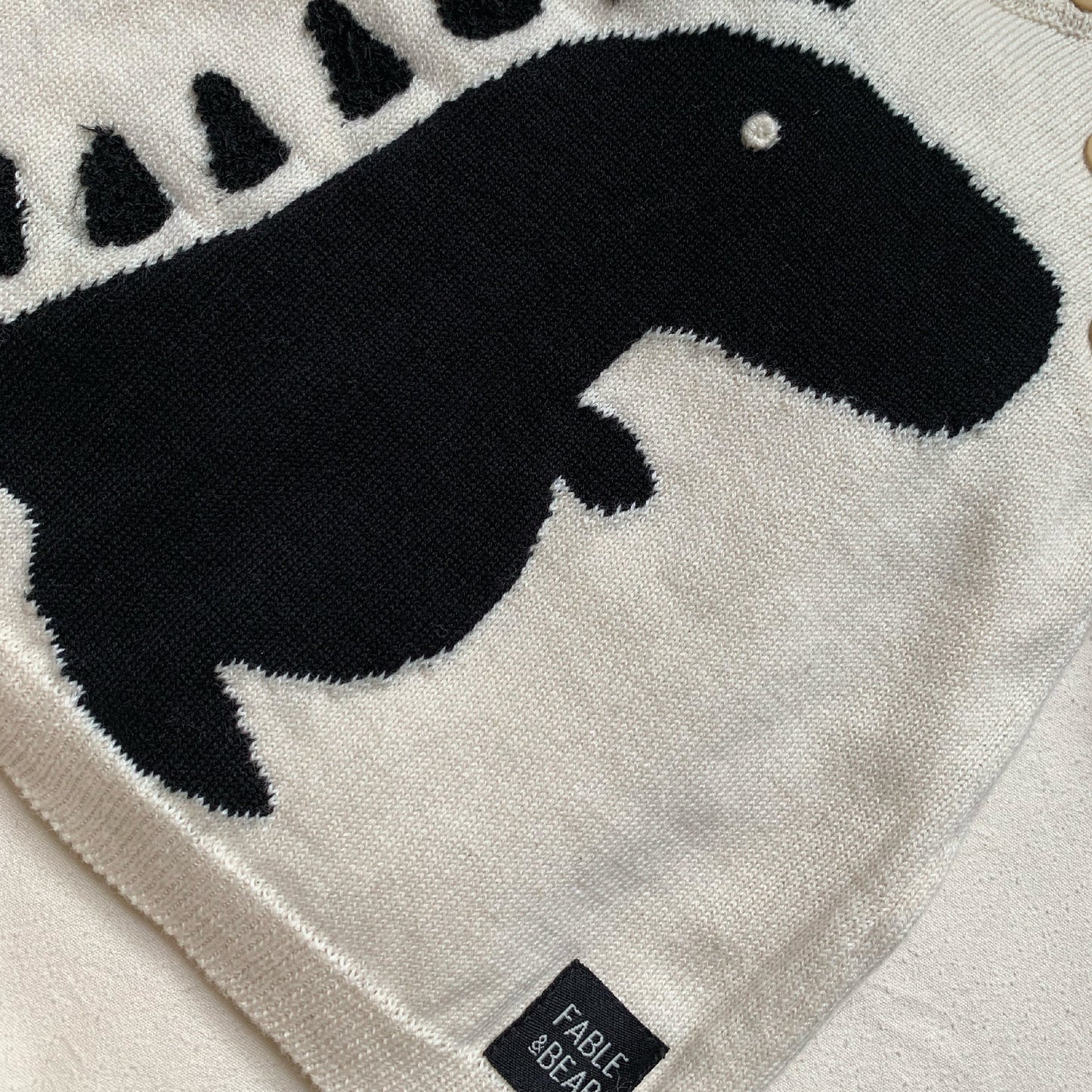Fable and Bear Dino Jumper