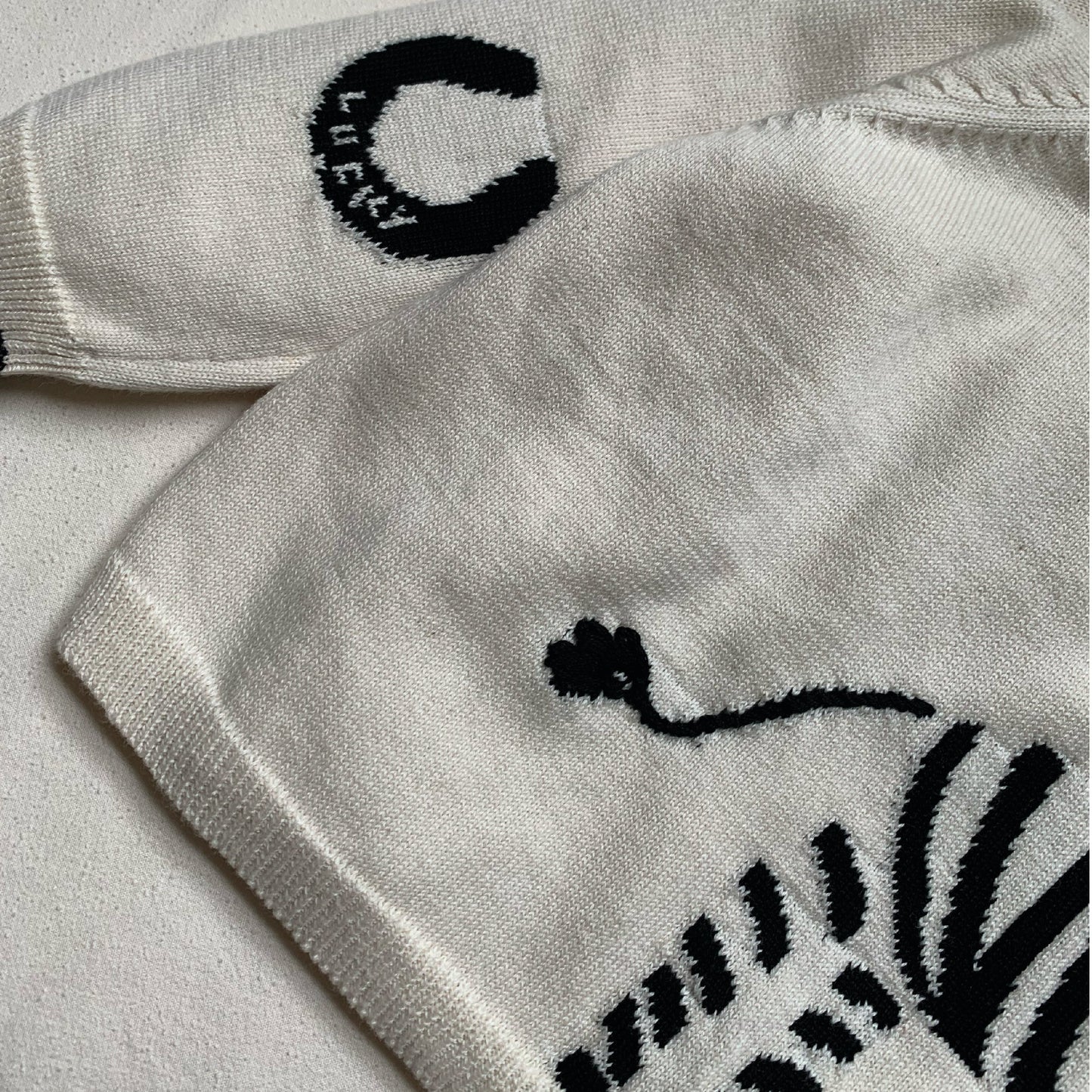 Fable and Bear Lucky Zebra Jumper