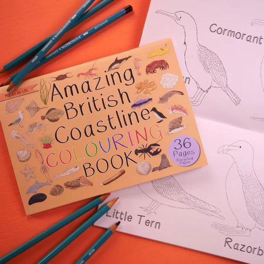Coloring book titled 'Amazing British Coastline' with pencils and coloring pages on an orange background