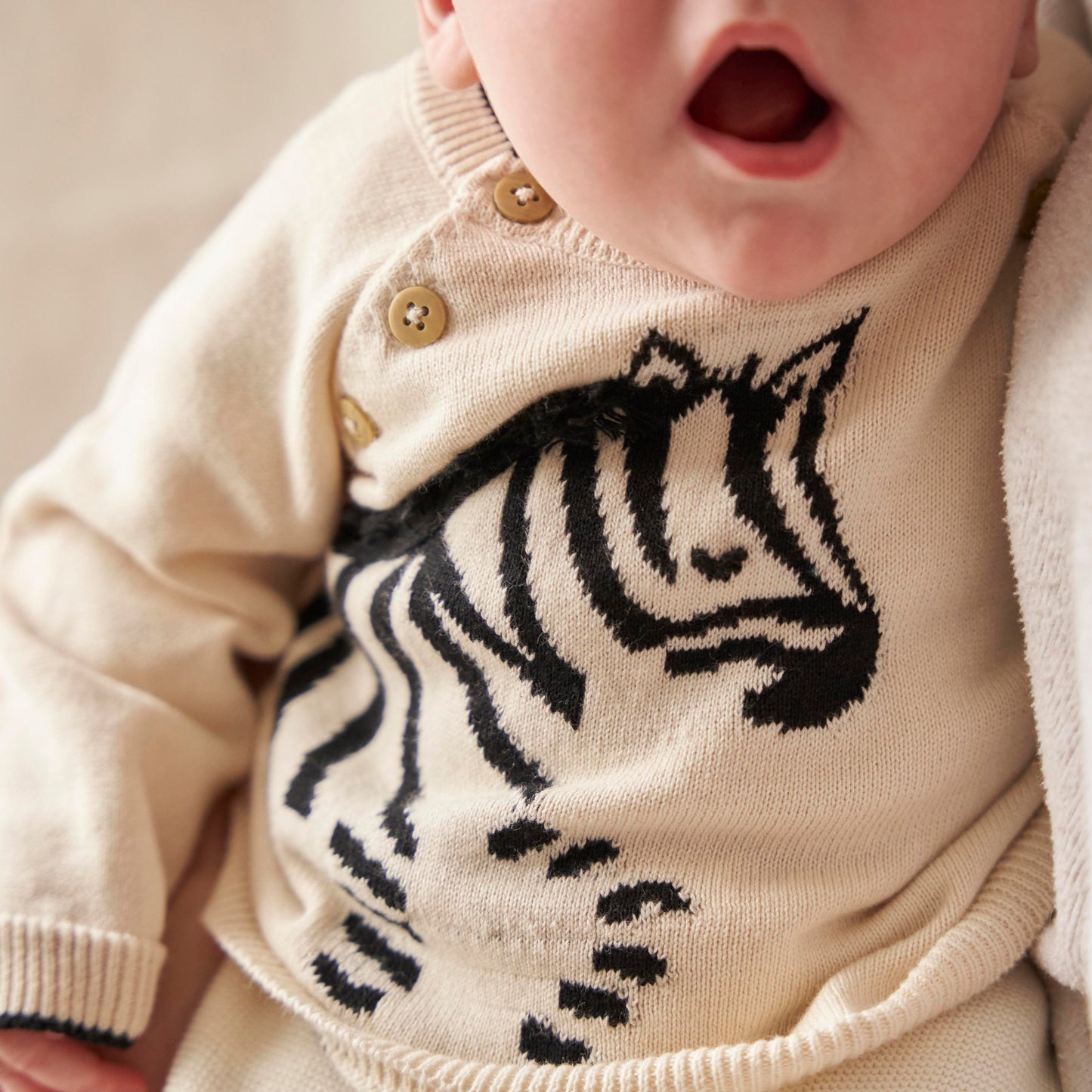 Fable and Bear Lucky Zebra Jumper