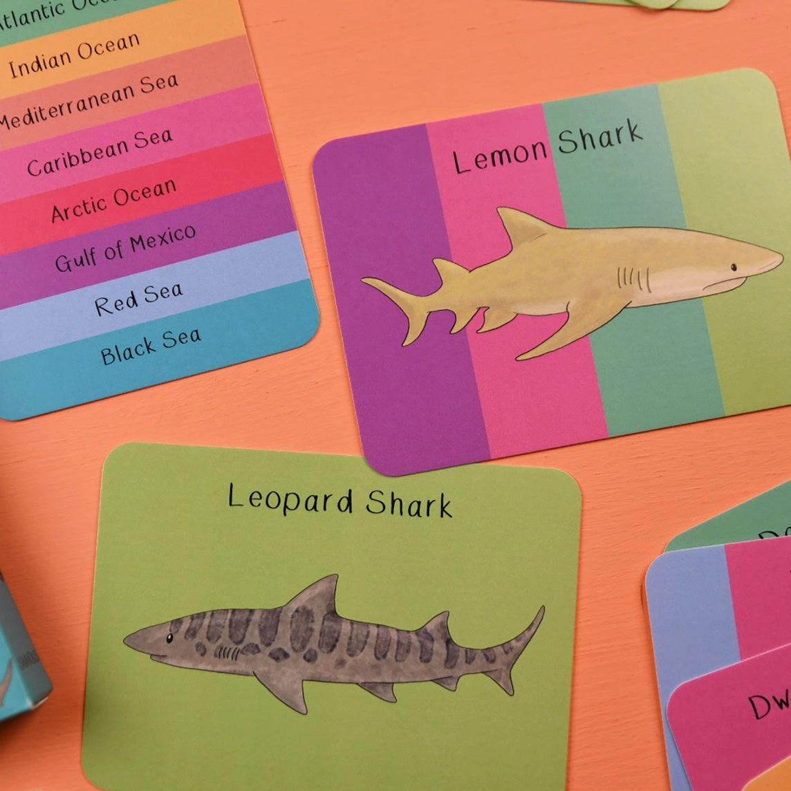 Educational cards with shark illustrations and labels on a colorful background