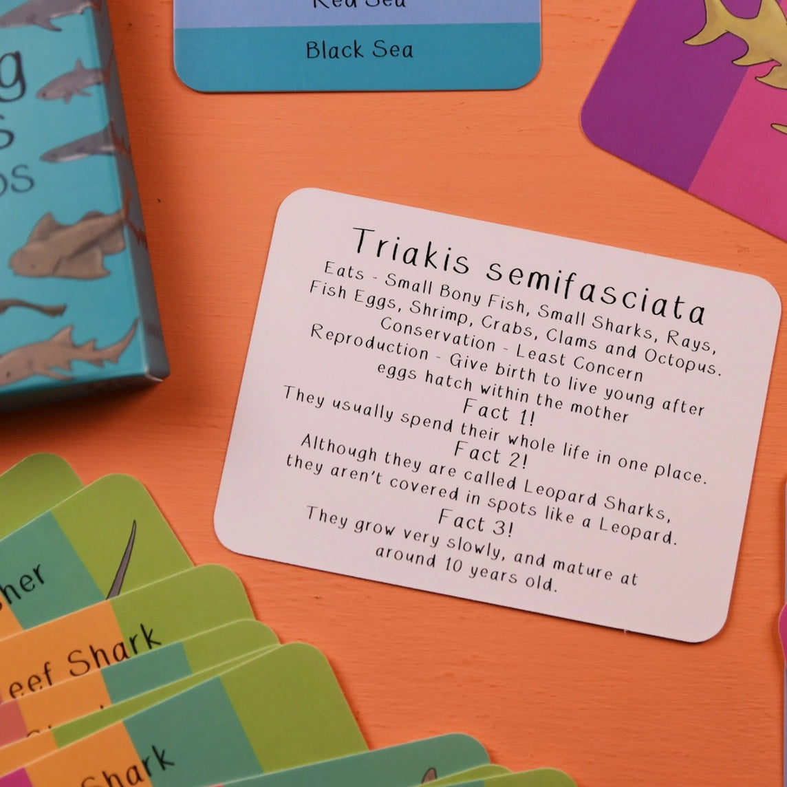 Educational card with information about Triakis semifasciata on an orange surface with other cards.