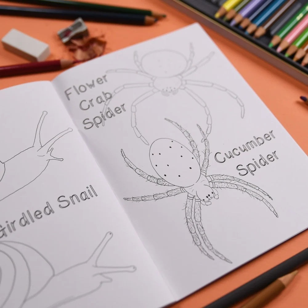 Open book with illustrations of a flower crab spider and a girdled snail on an orange surface with drawing supplies.