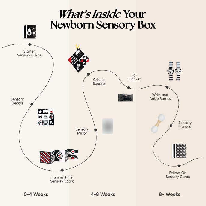 The Newborn Sensory Box (0-6+ Months)