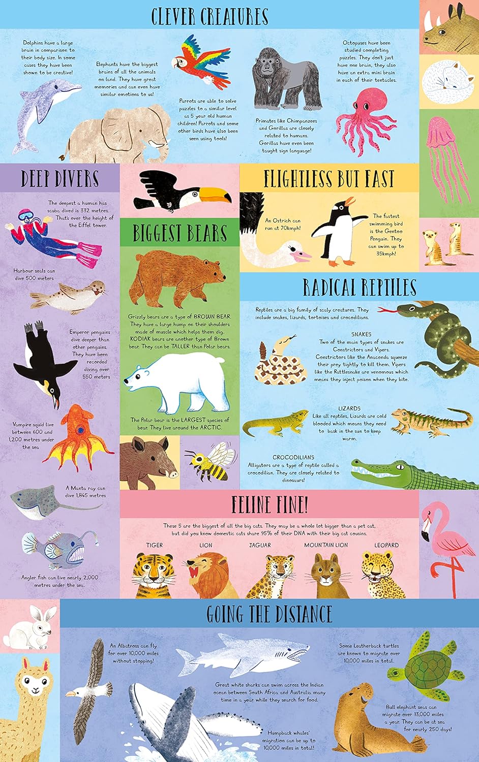 Large Question & Answer Animals Flap Book image 4