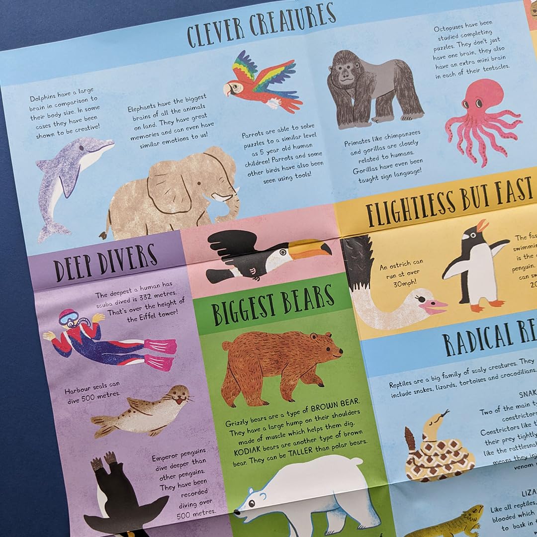 Large Question & Answer Animals Flap Book image 6