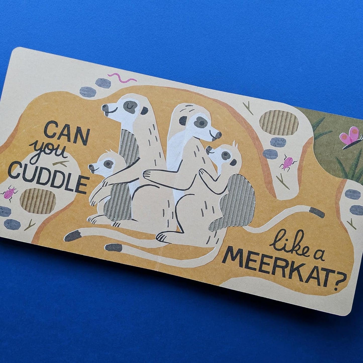 Can You Leap Like a Lion? Eco Baby Book image 1