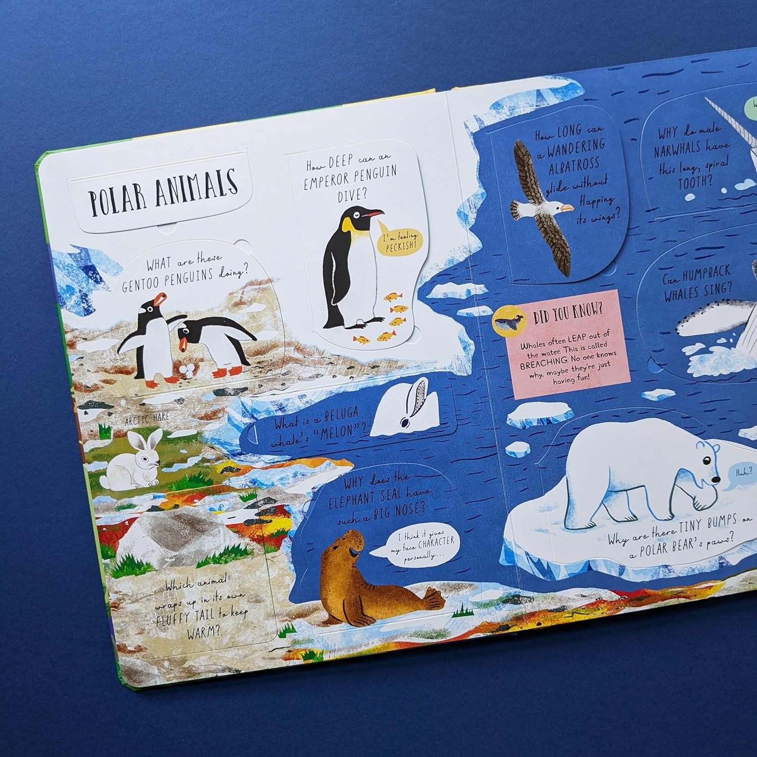 Large Question & Answer Animals Flap Book image 2