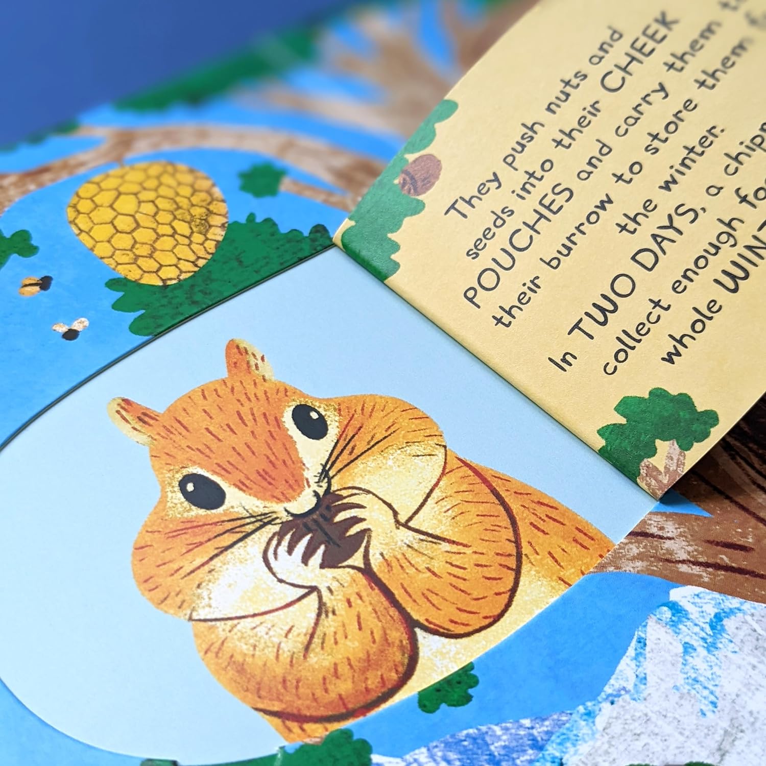 Large Question & Answer Animals Flap Book image 3