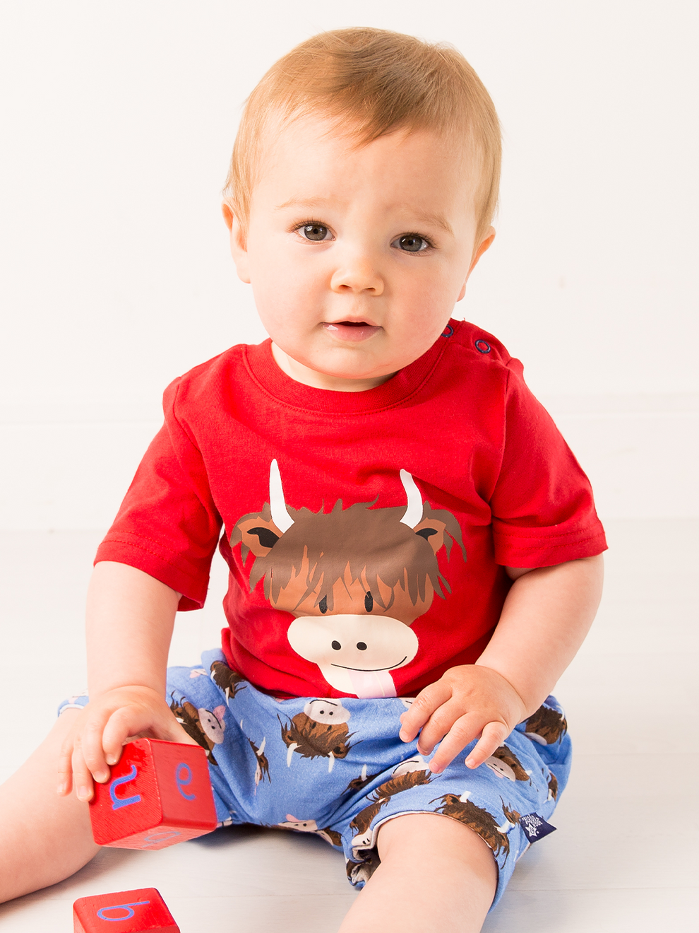 Hamish Highland Cow Tee